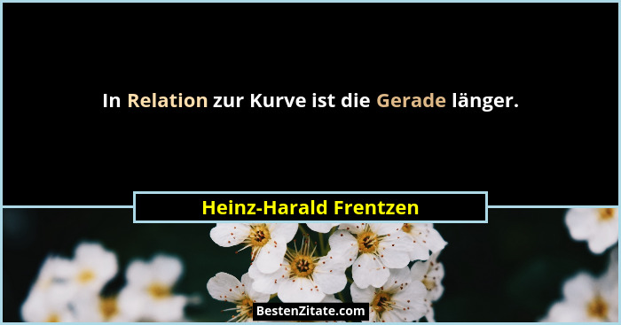 In Relation zur Kurve ist die Gerade länger.... - Heinz-Harald Frentzen