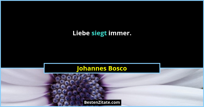 Liebe siegt immer.... - Johannes Bosco