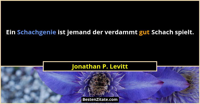 Ein Schachgenie ist jemand der verdammt gut Schach spielt.... - Jonathan P. Levitt