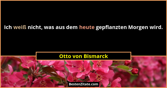 Ich weiß nicht, was aus dem heute gepflanzten Morgen wird.... - Otto von Bismarck