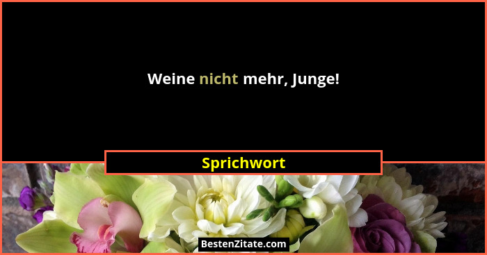 Weine nicht mehr, Junge!... - Sprichwort