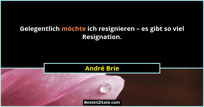 Gelegentlich möchte ich resignieren – es gibt so viel Resignation.... - André Brie