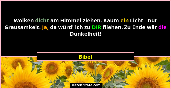 Wolken dicht am Himmel ziehen. Kaum ein Licht - nur Grausamkeit. Ja, da würd' ich zu DIR fliehen. Zu Ende wär die Dunkelheit!... - Bibel