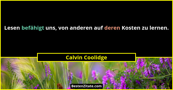 Lesen befähigt uns, von anderen auf deren Kosten zu lernen.... - Calvin Coolidge