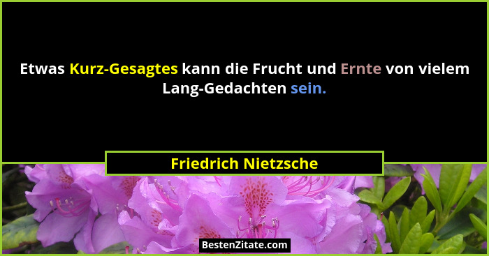 Etwas Kurz-Gesagtes kann die Frucht und Ernte von vielem Lang-Gedachten sein.... - Friedrich Nietzsche
