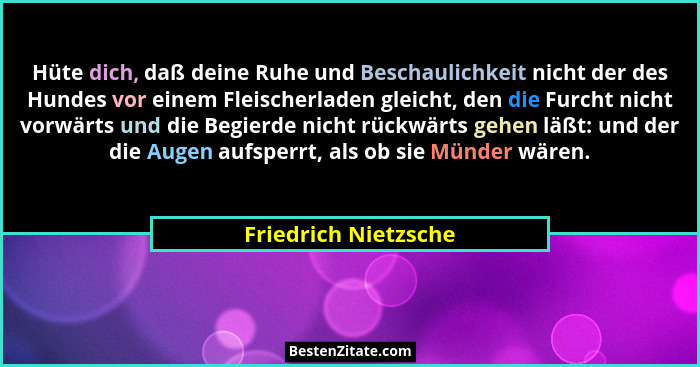 Hüte dich, daß deine Ruhe und Beschaulichkeit nicht der des Hundes vor einem Fleischerladen gleicht, den die Furcht nicht vorwär... - Friedrich Nietzsche