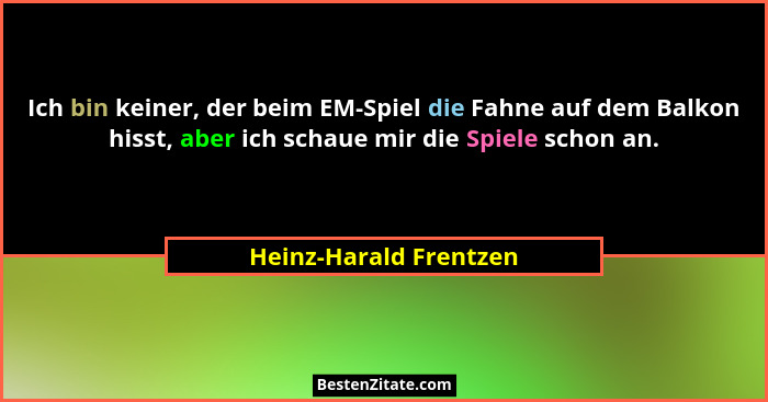 Ich bin keiner, der beim EM-Spiel die Fahne auf dem Balkon hisst, aber ich schaue mir die Spiele schon an.... - Heinz-Harald Frentzen