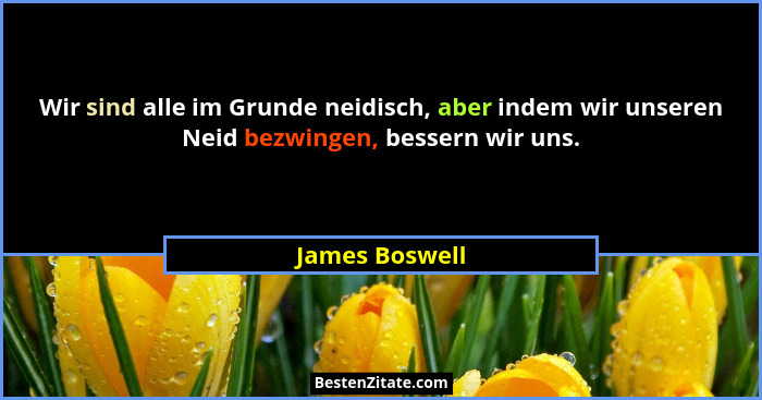 Wir sind alle im Grunde neidisch, aber indem wir unseren Neid bezwingen, bessern wir uns.... - James Boswell