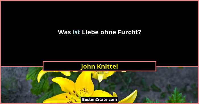 Was ist Liebe ohne Furcht?... - John Knittel