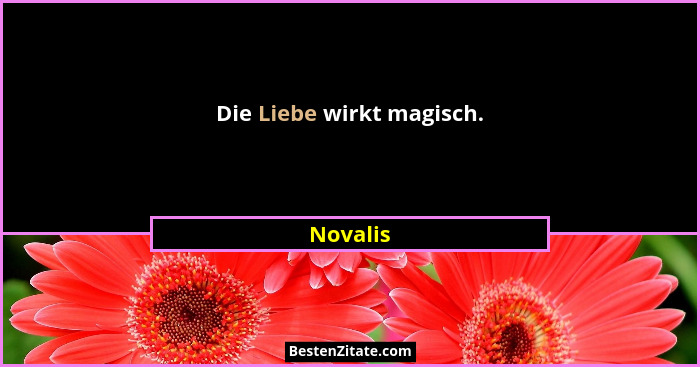Die Liebe wirkt magisch.... - Novalis