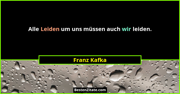 Alle Leiden um uns müssen auch wir leiden.... - Franz Kafka