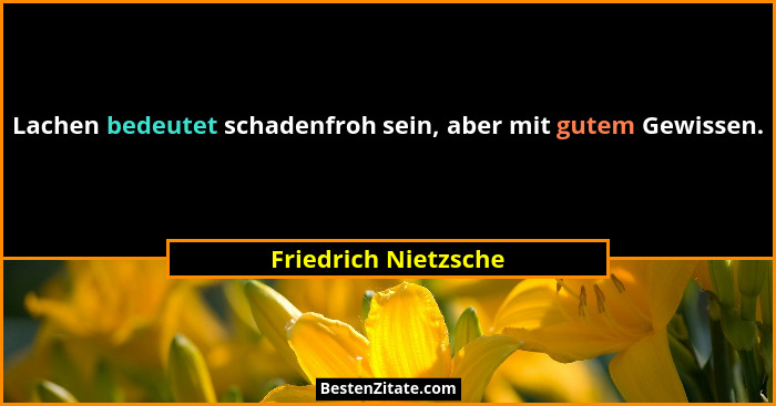 Lachen bedeutet schadenfroh sein, aber mit gutem Gewissen.... - Friedrich Nietzsche