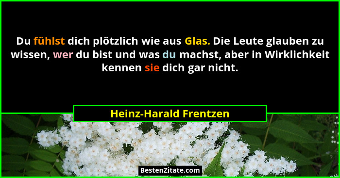 Du fühlst dich plötzlich wie aus Glas. Die Leute glauben zu wissen, wer du bist und was du machst, aber in Wirklichkeit kennen... - Heinz-Harald Frentzen