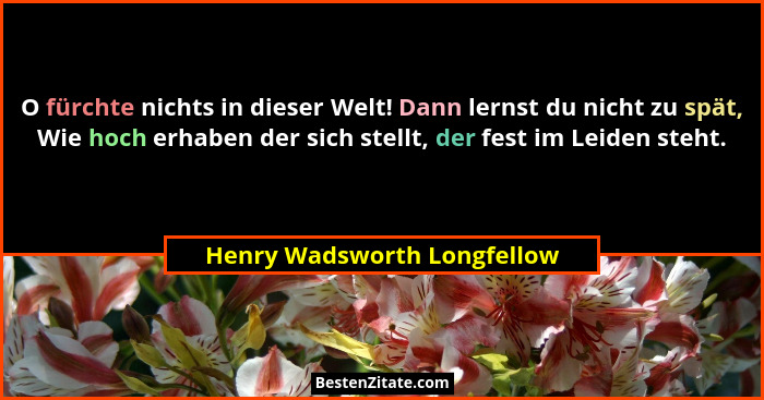 O fürchte nichts in dieser Welt! Dann lernst du nicht zu spät, Wie hoch erhaben der sich stellt, der fest im Leiden steht... - Henry Wadsworth Longfellow
