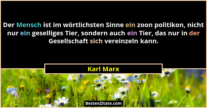 Der Mensch ist im wörtlichsten Sinne ein zoon politikon, nicht nur ein geselliges Tier, sondern auch ein Tier, das nur in der Gesellschaft... - Karl Marx