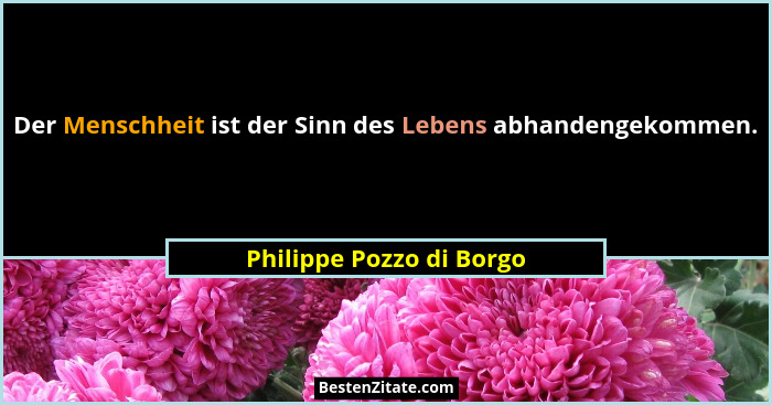 Der Menschheit ist der Sinn des Lebens abhandengekommen.... - Philippe Pozzo di Borgo