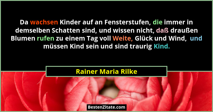 Da wachsen Kinder auf an Fensterstufen, die immer in demselben Schatten sind, und wissen nicht, daß draußen Blumen rufen zu einem... - Rainer Maria Rilke