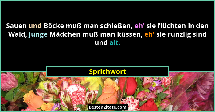 Sauen und Böcke muß man schießen, eh' sie flüchten in den Wald, junge Mädchen muß man küssen, eh' sie runzlig sind und alt.... - Sprichwort