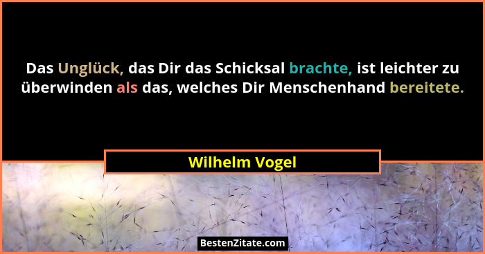 Das Unglück, das Dir das Schicksal brachte, ist leichter zu überwinden als das, welches Dir Menschenhand bereitete.... - Wilhelm Vogel