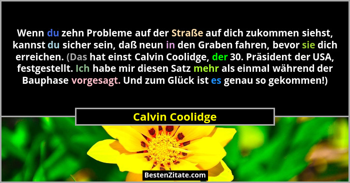 Wenn du zehn Probleme auf der Straße auf dich zukommen siehst, kannst du sicher sein, daß neun in den Graben fahren, bevor sie dich... - Calvin Coolidge