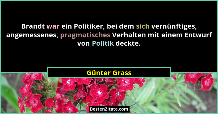 Brandt war ein Politiker, bei dem sich vernünftiges, angemessenes, pragmatisches Verhalten mit einem Entwurf von Politik deckte.... - Günter Grass