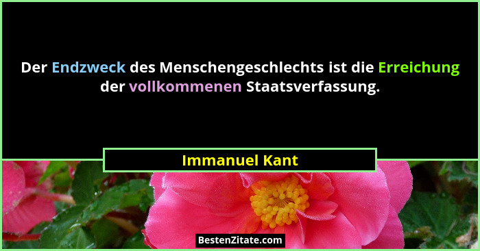 Der Endzweck des Menschengeschlechts ist die Erreichung der vollkommenen Staatsverfassung.... - Immanuel Kant