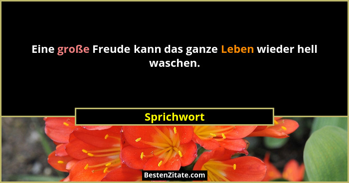 Eine große Freude kann das ganze Leben wieder hell waschen.... - Sprichwort