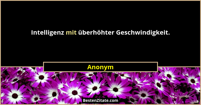 Intelligenz mit überhöhter Geschwindigkeit.... - Anonym