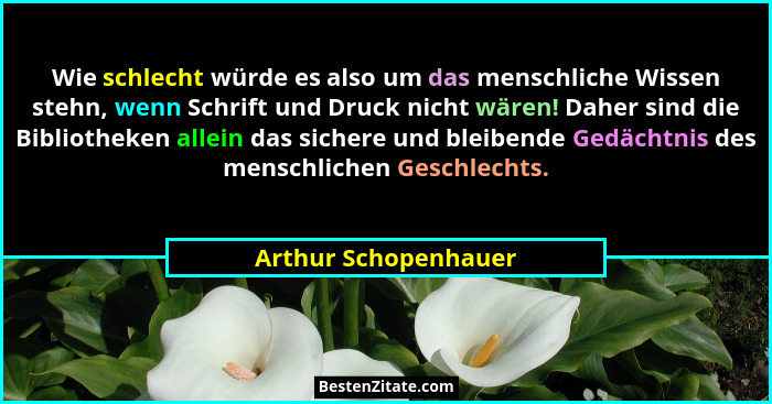 Wie schlecht würde es also um das menschliche Wissen stehn, wenn Schrift und Druck nicht wären! Daher sind die Bibliotheken alle... - Arthur Schopenhauer