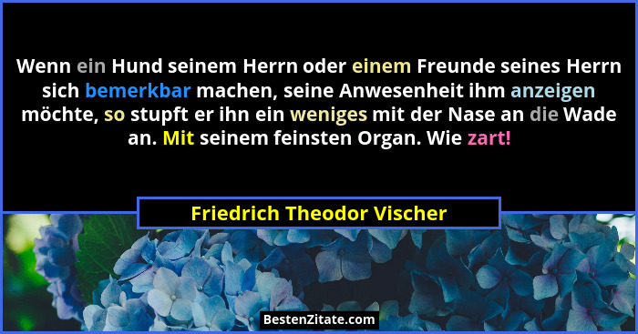 Wenn ein Hund seinem Herrn oder einem Freunde seines Herrn sich bemerkbar machen, seine Anwesenheit ihm anzeigen möchte, s... - Friedrich Theodor Vischer