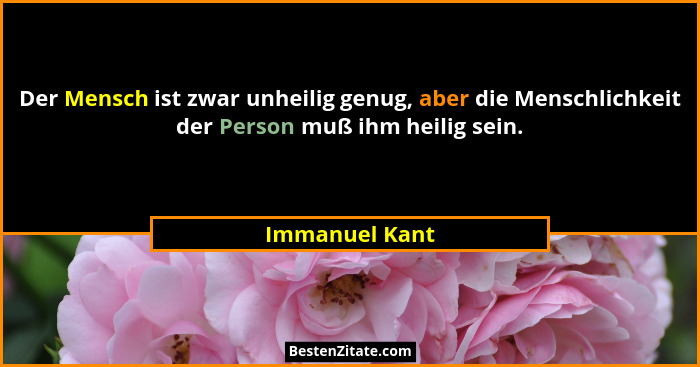 Der Mensch ist zwar unheilig genug, aber die Menschlichkeit der Person muß ihm heilig sein.... - Immanuel Kant