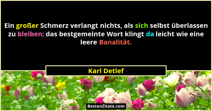 Ein großer Schmerz verlangt nichts, als sich selbst überlassen zu bleiben; das bestgemeinte Wort klingt da leicht wie eine leere Banalit... - Karl Detlef