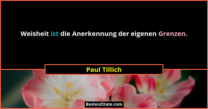 Weisheit ist die Anerkennung der eigenen Grenzen.... - Paul Tillich