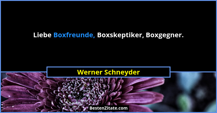 Liebe Boxfreunde, Boxskeptiker, Boxgegner.... - Werner Schneyder