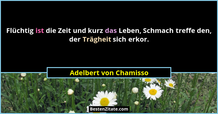 Flüchtig ist die Zeit und kurz das Leben, Schmach treffe den, der Trägheit sich erkor.... - Adelbert von Chamisso