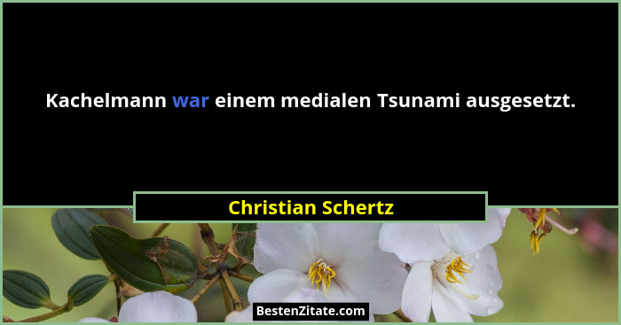 Kachelmann war einem medialen Tsunami ausgesetzt.... - Christian Schertz