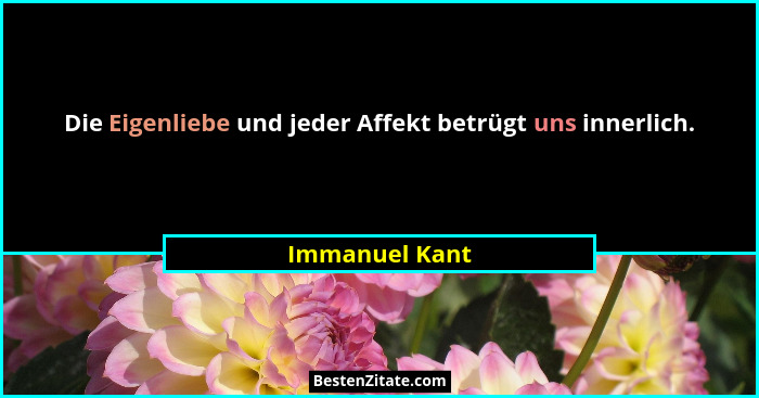 Die Eigenliebe und jeder Affekt betrügt uns innerlich.... - Immanuel Kant