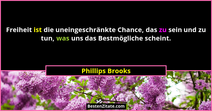 Freiheit ist die uneingeschränkte Chance, das zu sein und zu tun, was uns das Bestmögliche scheint.... - Phillips Brooks