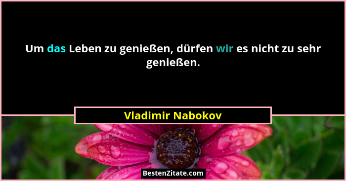 Um das Leben zu genießen, dürfen wir es nicht zu sehr genießen.... - Vladimir Nabokov