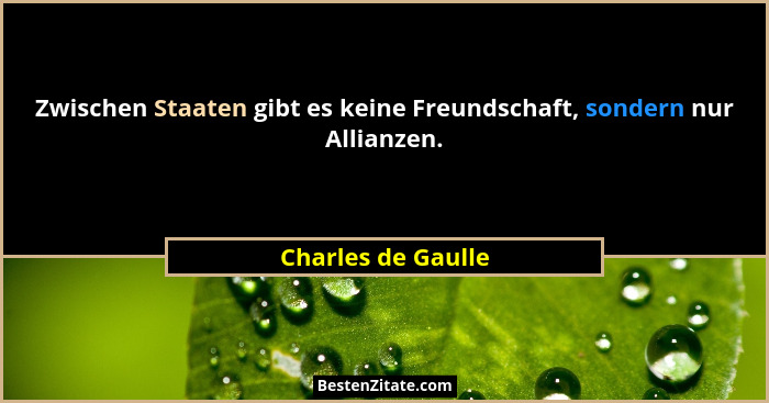 Zwischen Staaten gibt es keine Freundschaft, sondern nur Allianzen.... - Charles de Gaulle