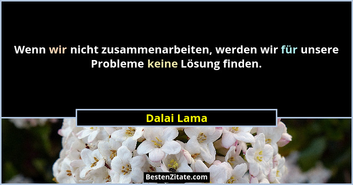 Wenn wir nicht zusammenarbeiten, werden wir für unsere Probleme keine Lösung finden.... - Dalai Lama