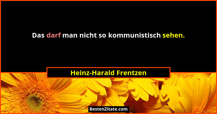 Das darf man nicht so kommunistisch sehen.... - Heinz-Harald Frentzen
