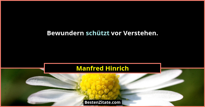 Bewundern schützt vor Verstehen.... - Manfred Hinrich