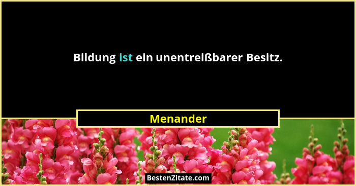 Bildung ist ein unentreißbarer Besitz.... - Menander