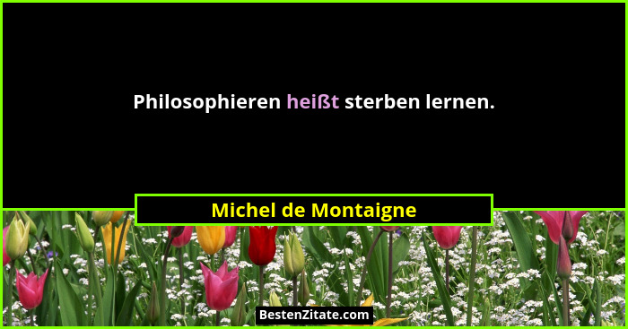 Philosophieren heißt sterben lernen.... - Michel de Montaigne