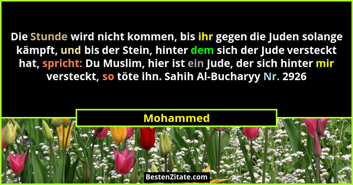 Die Stunde wird nicht kommen, bis ihr gegen die Juden solange kämpft, und bis der Stein, hinter dem sich der Jude versteckt hat, spricht: D... - Mohammed