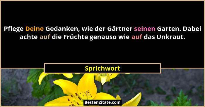 Pflege Deine Gedanken, wie der Gärtner seinen Garten. Dabei achte auf die Früchte genauso wie auf das Unkraut.... - Sprichwort