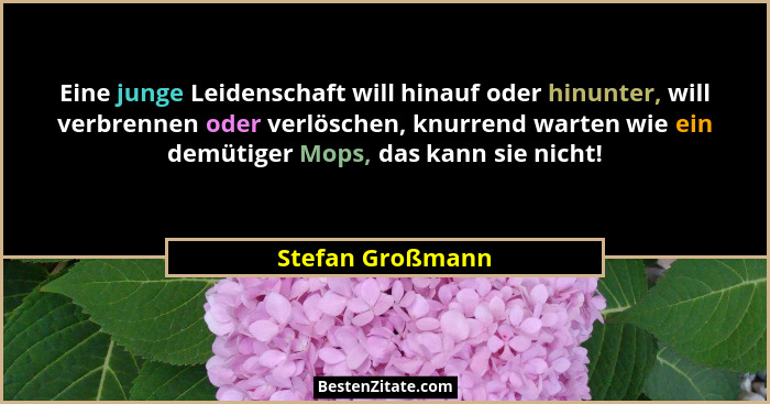 Eine junge Leidenschaft will hinauf oder hinunter, will verbrennen oder verlöschen, knurrend warten wie ein demütiger Mops, das kann... - Stefan Großmann