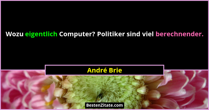 Wozu eigentlich Computer? Politiker sind viel berechnender.... - André Brie