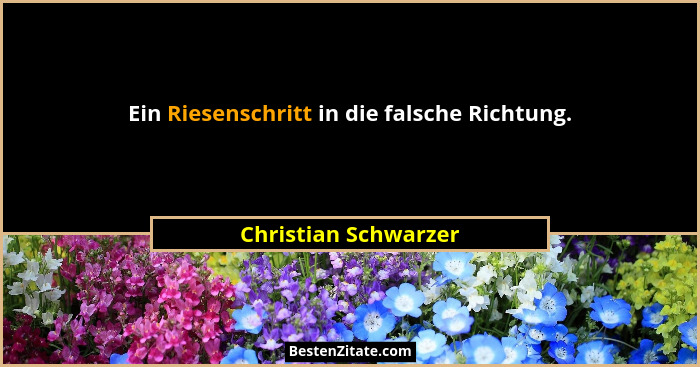 Ein Riesenschritt in die falsche Richtung.... - Christian Schwarzer